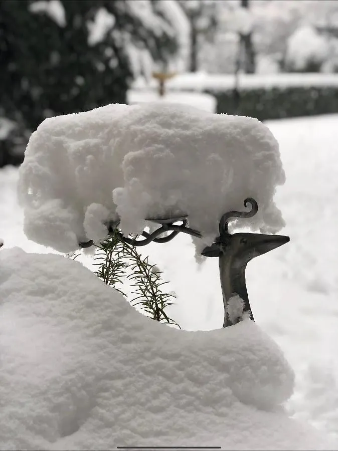 Il Pioppo Antico Apartamento Viggiù