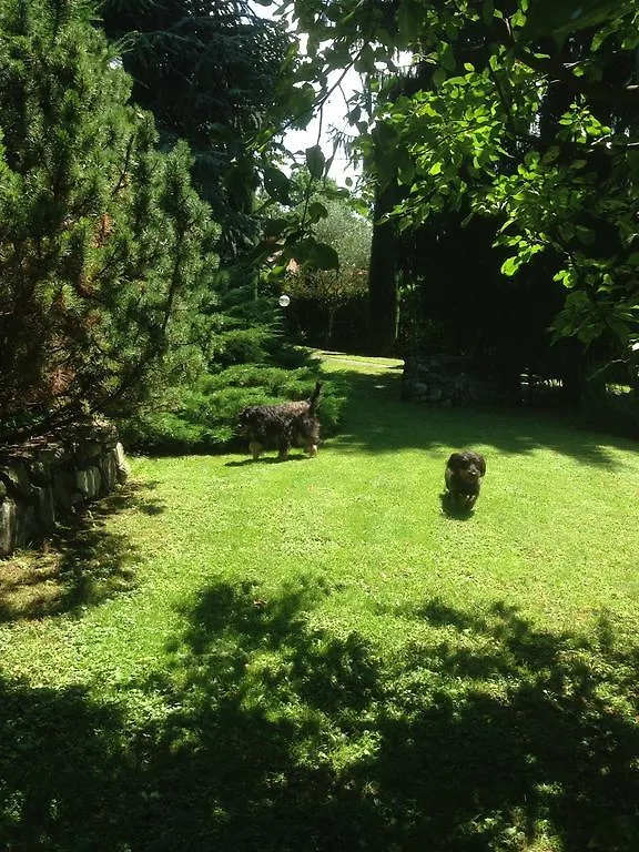 Il Pioppo Antico Apartment Viggiu