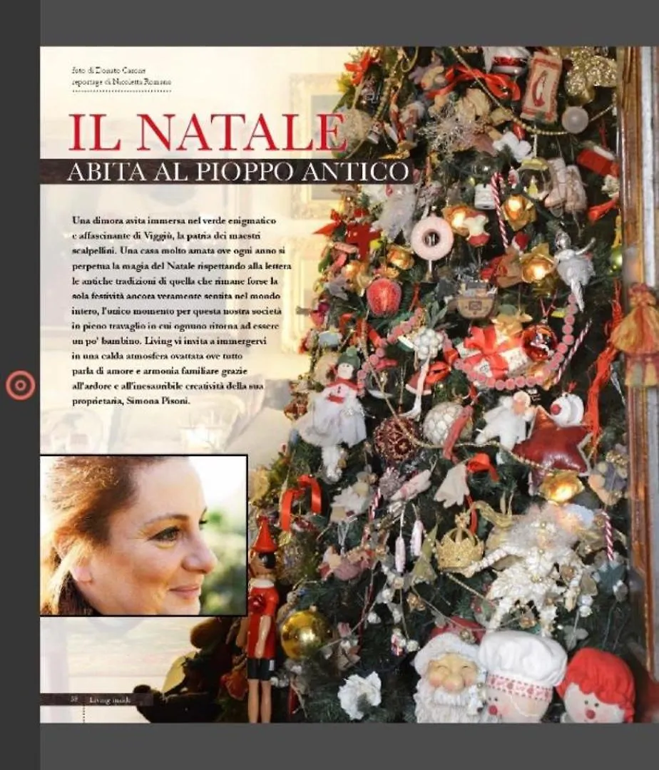 Il Pioppo Antico Apartment Viggiu